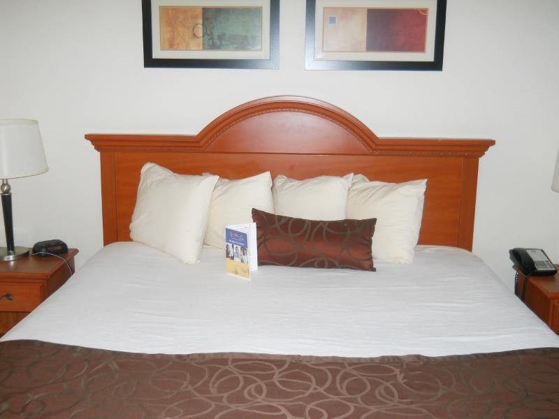 Best Western Windsor Inn And Suites Данвилл Экстерьер фото